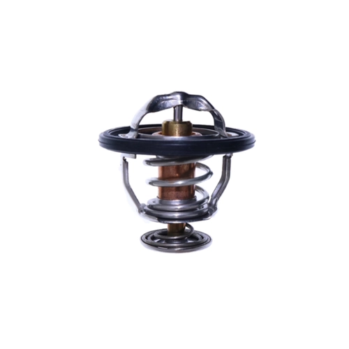 320/04618 TERMOSTATO MOTOR JCB