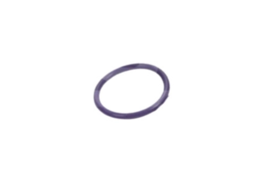 ANEL ORING