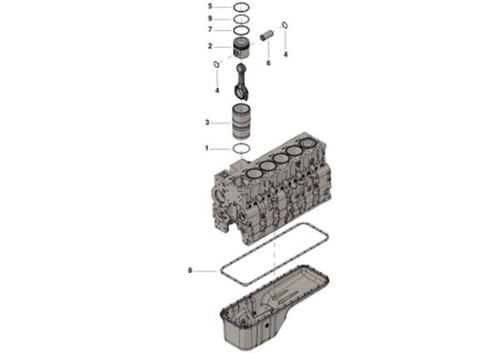 JOGO MAXI FORCA