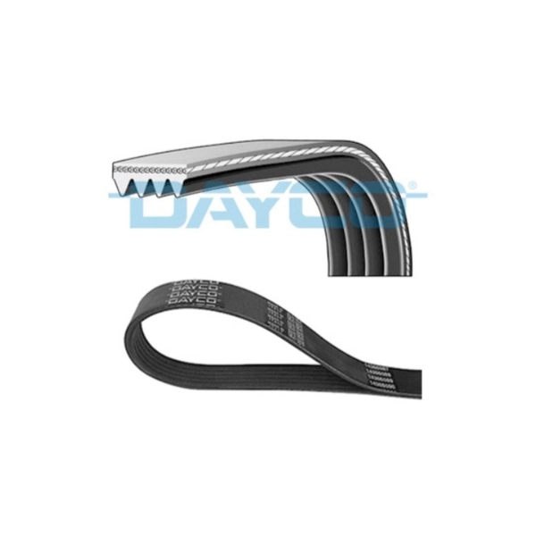 CORREIA POLI V 8PK1270HD - DAYCO